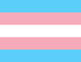 trans flag